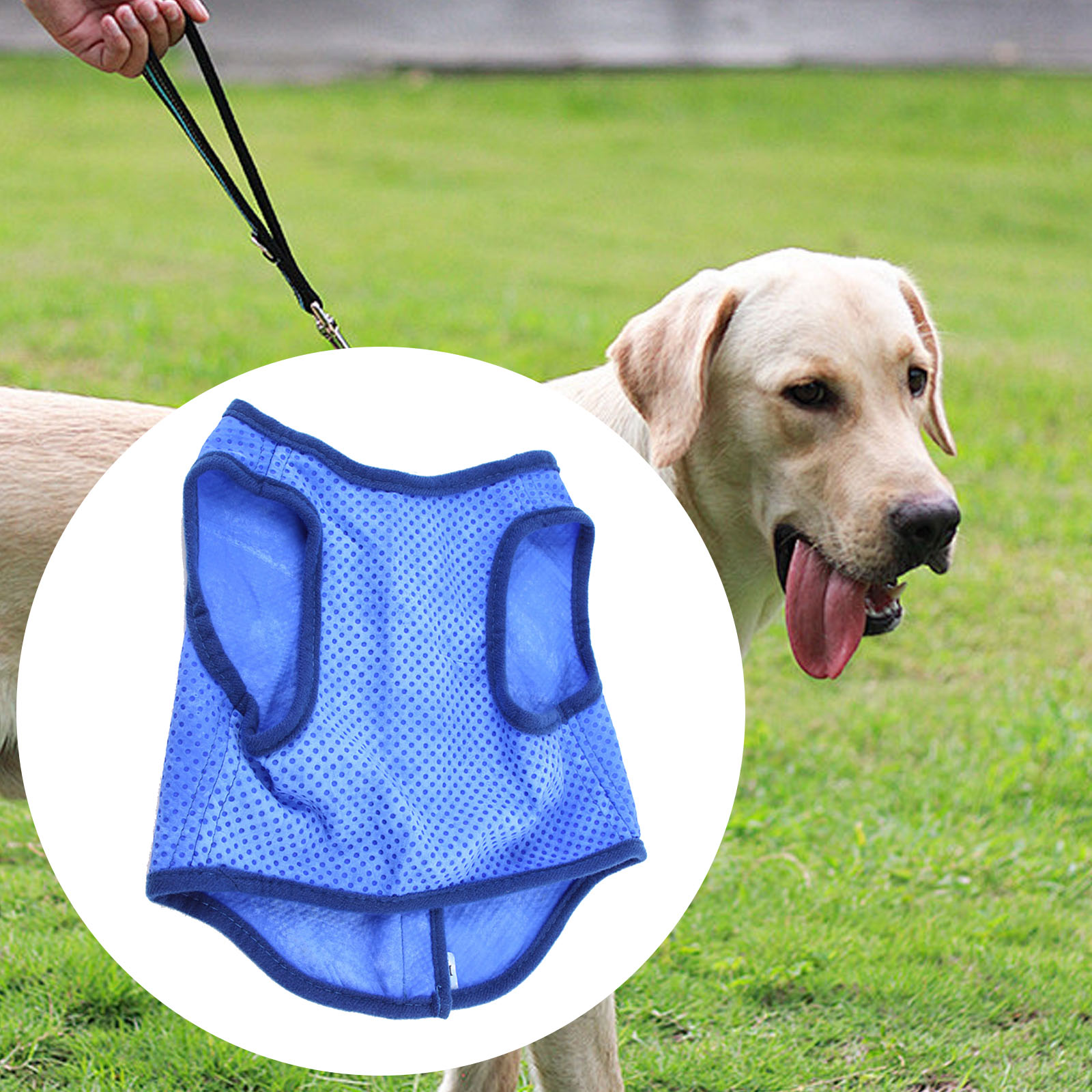 Dog Cooling Vest Breathable Su - Outdoor Sport Coat ulasan dan harga