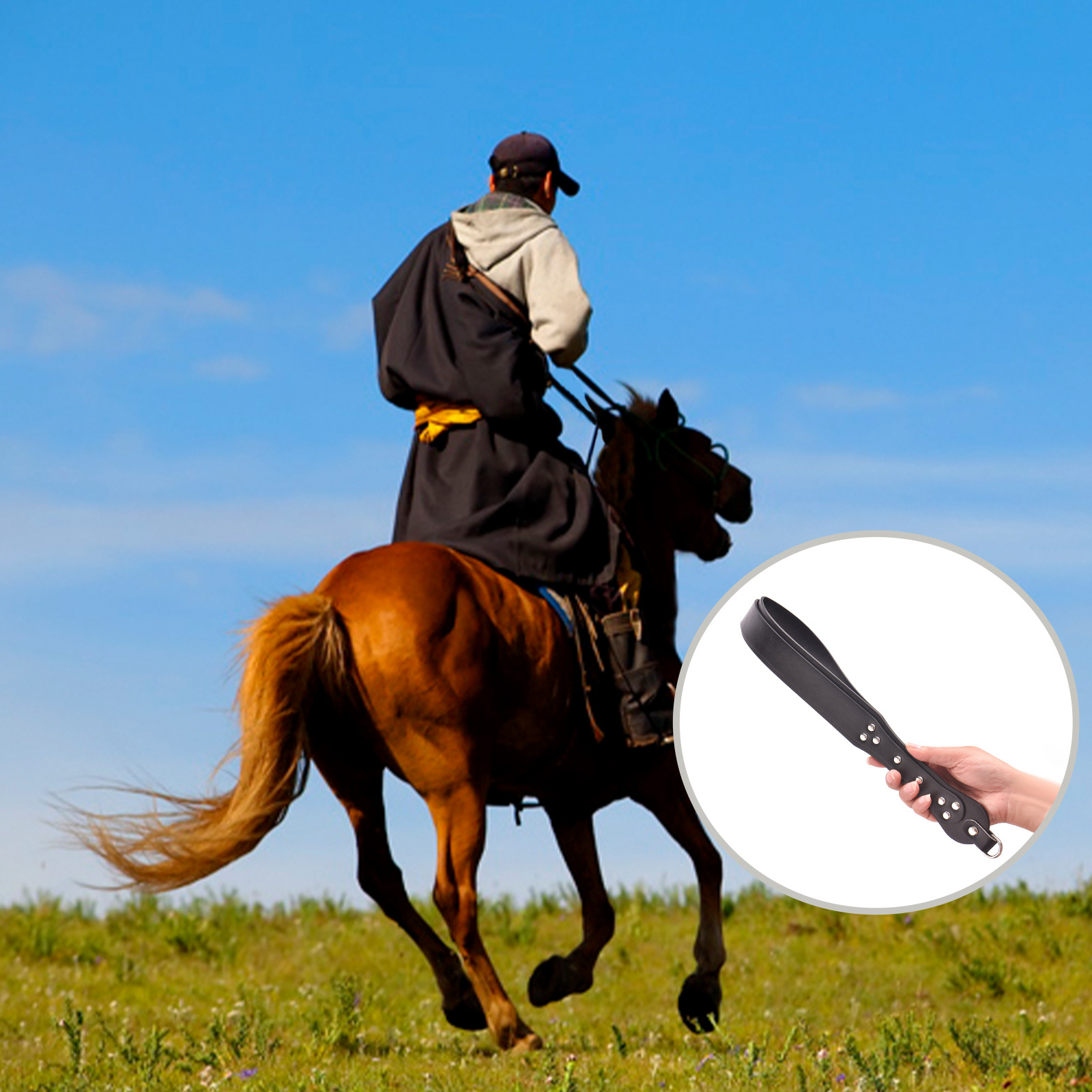 Equestrian Training Whip PU Le - Riding Crop Dressage ulasan dan harga