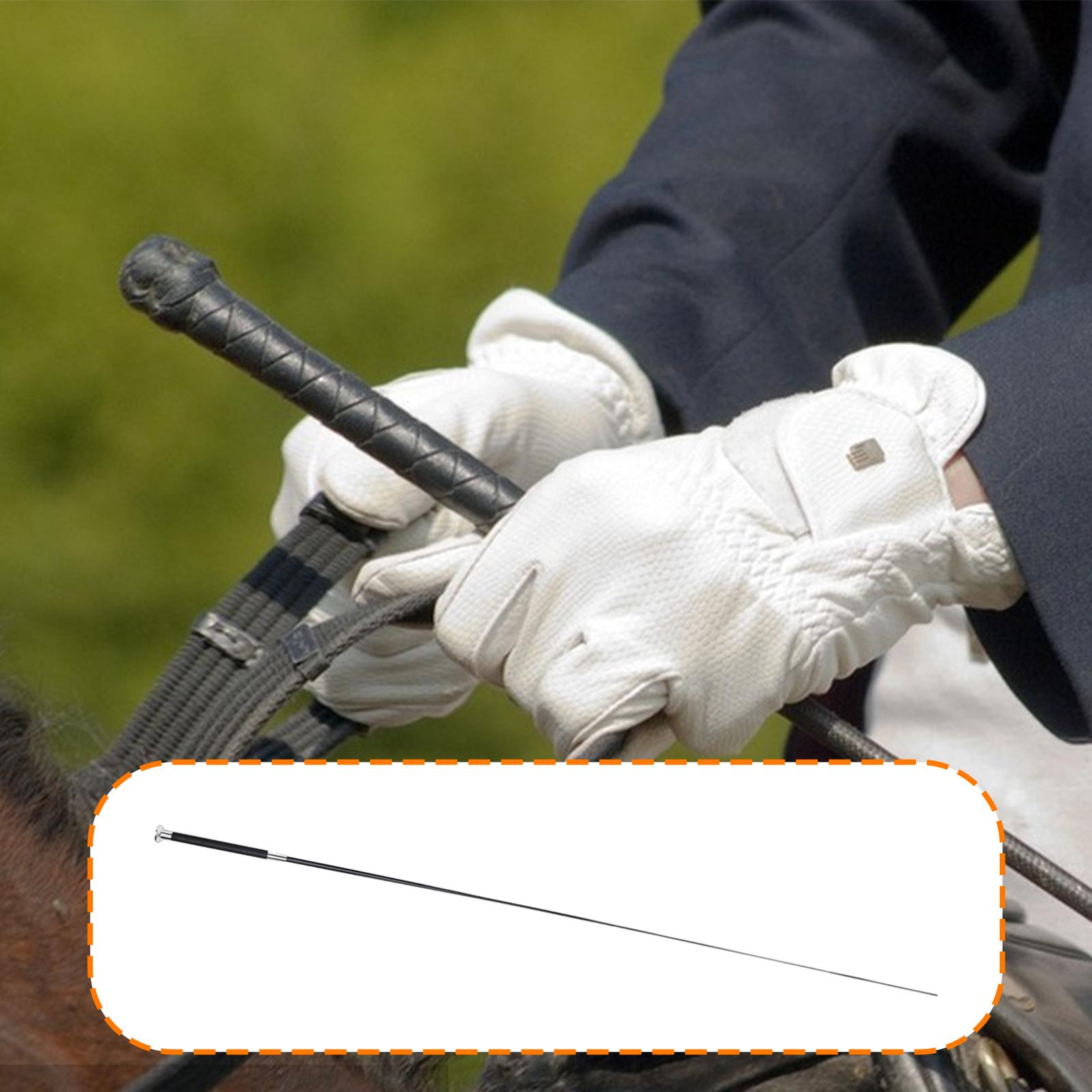 Horse Riding Crop Adjustable T - Riding Crop Dressage ulasan dan harga
